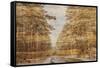 Double Exposure Trees on A Wooden Board Texture-Irina Jesikova-Framed Stretched Canvas