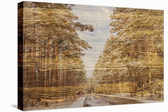 Double Exposure Trees on A Wooden Board Texture-Irina Jesikova-Stretched Canvas