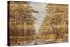 Double Exposure Trees on A Wooden Board Texture-Irina Jesikova-Stretched Canvas