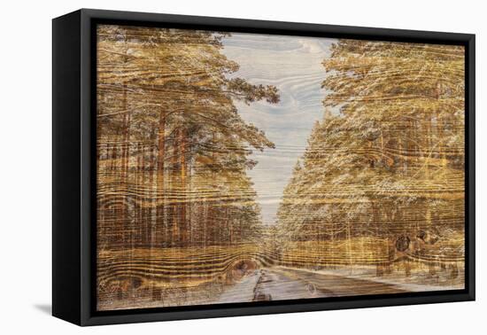 Double Exposure Trees on A Wooden Board Texture-Irina Jesikova-Framed Stretched Canvas