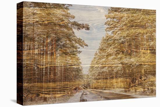 Double Exposure Trees on A Wooden Board Texture-Irina Jesikova-Stretched Canvas