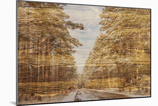 Double Exposure Trees on A Wooden Board Texture-Irina Jesikova-Mounted Photographic Print