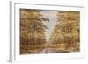 Double Exposure Trees on A Wooden Board Texture-Irina Jesikova-Framed Photographic Print