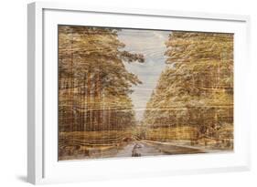 Double Exposure Trees on A Wooden Board Texture-Irina Jesikova-Framed Photographic Print