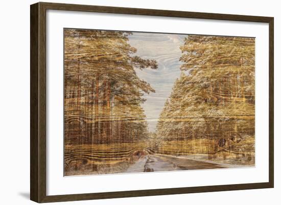 Double Exposure Trees on A Wooden Board Texture-Irina Jesikova-Framed Photographic Print