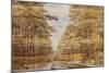 Double Exposure Trees on A Wooden Board Texture-Irina Jesikova-Mounted Photographic Print