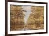 Double Exposure Trees on A Wooden Board Texture-Irina Jesikova-Framed Photographic Print