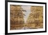 Double Exposure Trees on A Wooden Board Texture-Irina Jesikova-Framed Photographic Print