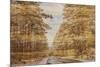 Double Exposure Trees on A Wooden Board Texture-Irina Jesikova-Mounted Photographic Print