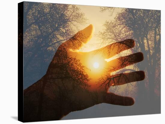 Double Exposure with a Sunrise behind Trees with a Hand-Sari ONeal-Stretched Canvas