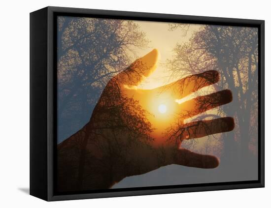 Double Exposure with a Sunrise behind Trees with a Hand-Sari ONeal-Framed Stretched Canvas