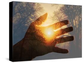 Double Exposure with a Sunrise behind Trees with a Hand-Sari ONeal-Stretched Canvas