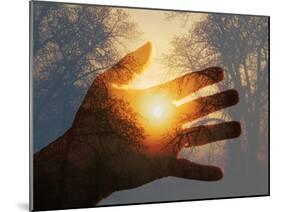 Double Exposure with a Sunrise behind Trees with a Hand-Sari ONeal-Mounted Photographic Print