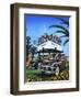 Double Feature-Scott Westmoreland-Framed Art Print