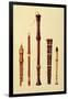 Double Flageolet, German flute, Bass Recorder, Double Flageolet and Recorder, 'Musical Instruments'-Alfred James Hipkins-Framed Giclee Print