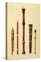 Double Flageolet, German flute, Bass Recorder, Double Flageolet and Recorder, 'Musical Instruments'-Alfred James Hipkins-Stretched Canvas