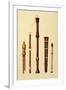 Double Flageolet, German flute, Bass Recorder, Double Flageolet and Recorder, 'Musical Instruments'-Alfred James Hipkins-Framed Giclee Print