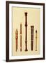 Double Flageolet, German flute, Bass Recorder, Double Flageolet and Recorder, 'Musical Instruments'-Alfred James Hipkins-Framed Giclee Print