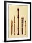 Double Flageolet, German flute, Bass Recorder, Double Flageolet and Recorder, 'Musical Instruments'-Alfred James Hipkins-Framed Giclee Print