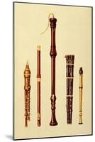 Double Flageolet, German flute, Bass Recorder, Double Flageolet and Recorder, 'Musical Instruments'-Alfred James Hipkins-Mounted Giclee Print