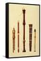 Double Flageolet, German flute, Bass Recorder, Double Flageolet and Recorder, 'Musical Instruments'-Alfred James Hipkins-Framed Stretched Canvas