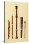 Double Flageolet, German flute, Bass Recorder, Double Flageolet and Recorder, 'Musical Instruments'-Alfred James Hipkins-Stretched Canvas