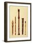 Double Flageolet, German flute, Bass Recorder, Double Flageolet and Recorder, 'Musical Instruments'-Alfred James Hipkins-Framed Premium Giclee Print