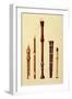 Double Flageolet, German flute, Bass Recorder, Double Flageolet and Recorder, 'Musical Instruments'-Alfred James Hipkins-Framed Premium Giclee Print