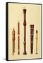 Double Flageolet, German flute, Bass Recorder, Double Flageolet and Recorder, 'Musical Instruments'-Alfred James Hipkins-Framed Stretched Canvas