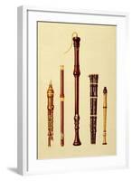 Double Flageolet, German flute, Bass Recorder, Double Flageolet and Recorder, 'Musical Instruments'-Alfred James Hipkins-Framed Giclee Print