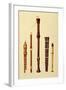 Double Flageolet, German flute, Bass Recorder, Double Flageolet and Recorder, 'Musical Instruments'-Alfred James Hipkins-Framed Giclee Print