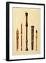 Double Flageolet, German flute, Bass Recorder, Double Flageolet and Recorder, 'Musical Instruments'-Alfred James Hipkins-Framed Giclee Print