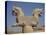 Double-Headed Eagle, Persepolis, UNESCO World Heritage Site, Iran, Middle East-Poole David-Stretched Canvas