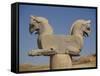 Double-Headed Eagle, Persepolis, UNESCO World Heritage Site, Iran, Middle East-Poole David-Framed Stretched Canvas