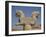 Double-Headed Eagle, Persepolis, UNESCO World Heritage Site, Iran, Middle East-Poole David-Framed Photographic Print