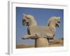 Double-Headed Eagle, Persepolis, UNESCO World Heritage Site, Iran, Middle East-Poole David-Framed Photographic Print