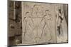 Double Image Relief of Ramses Ii, Luxor Temple, Luxor, Thebes, Egypt, North Africa, Africa-Richard Maschmeyer-Mounted Premium Photographic Print