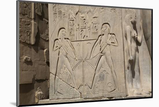 Double Image Relief of Ramses Ii, Luxor Temple, Luxor, Thebes, Egypt, North Africa, Africa-Richard Maschmeyer-Mounted Photographic Print