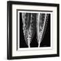 Double Leaf White on Black-Albert Koetsier-Framed Art Print