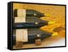 Double Magnum Bottles of Chablis, Premier Cru Les Vaillons, Domaine Michel Laroche, France-Per Karlsson-Framed Stretched Canvas