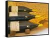 Double Magnum Bottles of Chablis, Premier Cru Les Vaillons, Domaine Michel Laroche, France-Per Karlsson-Framed Stretched Canvas
