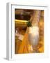Double Magnum Champagne, Duval-Leroy Blanc De Chardonnay Millesime, Vertus-Per Karlsson-Framed Photographic Print