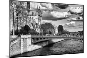 Double Pont Bridge - Notre Dame Cathedral - Paris - France-Philippe Hugonnard-Mounted Photographic Print