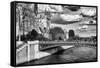 Double Pont Bridge - Notre Dame Cathedral - Paris - France-Philippe Hugonnard-Framed Stretched Canvas