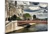 Double Pont Bridge - Notre Dame Cathedral - Paris - France-Philippe Hugonnard-Mounted Photographic Print