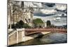 Double Pont Bridge - Notre Dame Cathedral - Paris - France-Philippe Hugonnard-Mounted Photographic Print