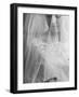 Double Ring Ceremony in Oakes, North Dakota, Bride is Putting Ring on Groom's Finger-Michael Rougier-Framed Photographic Print