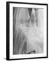 Double Ring Ceremony in Oakes, North Dakota, Bride is Putting Ring on Groom's Finger-Michael Rougier-Framed Photographic Print