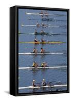 Double Scull Race, Maadi Cup Regatta, Lake Karipiro, Waikato, North Island, New Zealand-David Wall-Framed Stretched Canvas