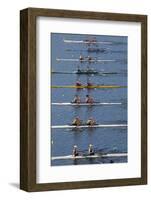 Double Scull Race, Maadi Cup Regatta, Lake Karipiro, Waikato, North Island, New Zealand-David Wall-Framed Photographic Print